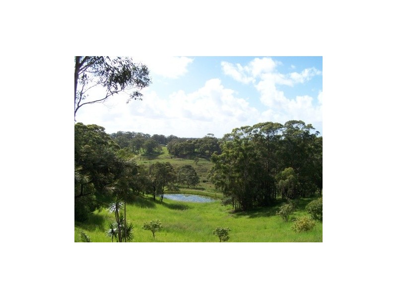 96 Warwick Park Rd, Pottsville NSW 2489