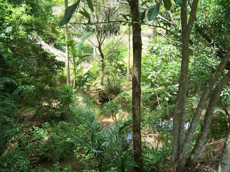 19 Waranga Crescent, Burringbar NSW 2483
