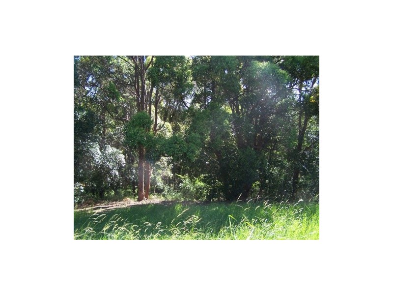 25 Sassafras Street, Pottsville NSW 2489