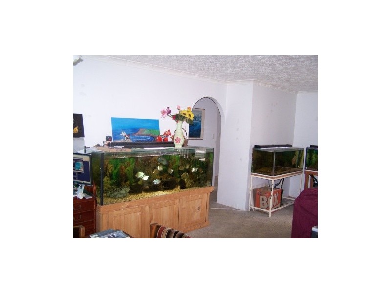 43 McKenzie Avenue, Pottsville NSW 2489