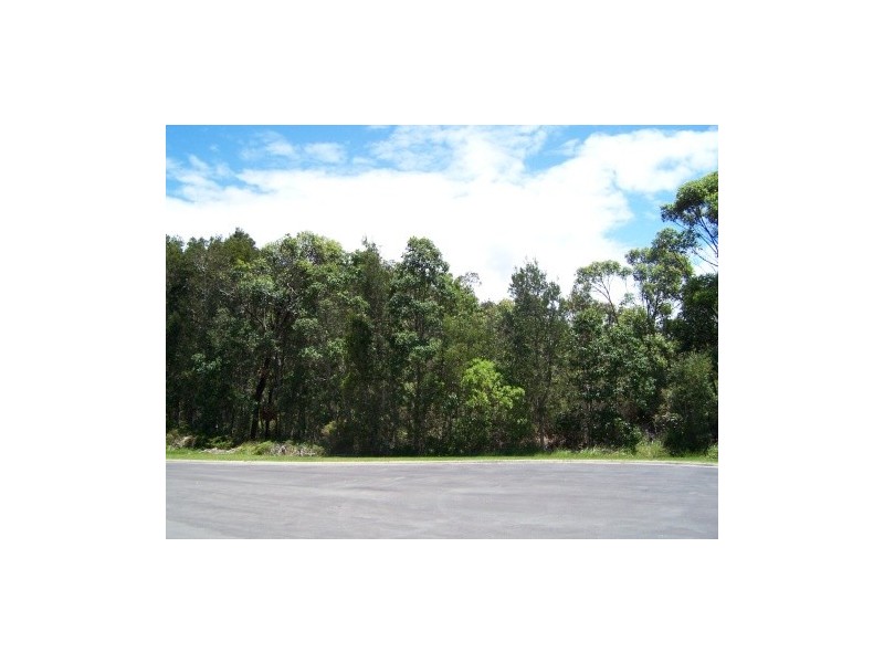 11 Environmental Drive, Pottsville NSW 2489