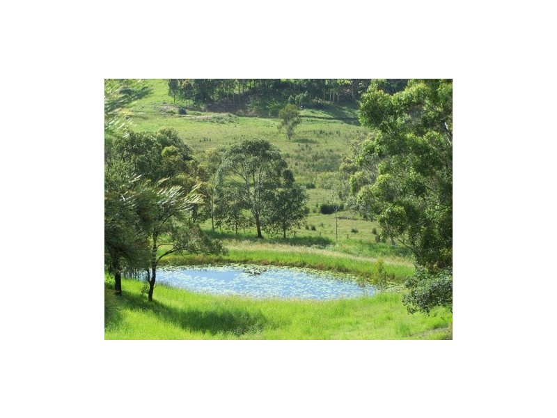 6 Warwick Park Road, Pottsville NSW 2489