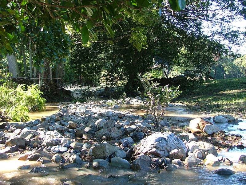 Lot 1, 224 Sleepy Hollow Road, Pottsville NSW 2489