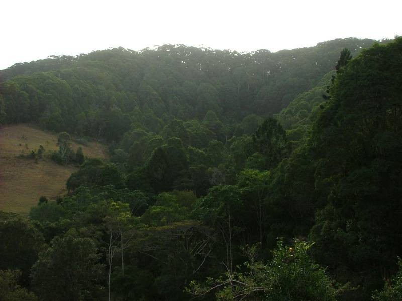 Lot 1, 224 Sleepy Hollow Road, Pottsville NSW 2489