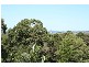 25 Sassafras, Pottsville NSW 2489