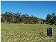1 Crabbes Creek Rd, Crabbes Creek NSW 2483