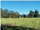 1 Crabbes Creek Rd, Crabbes Creek NSW 2483
