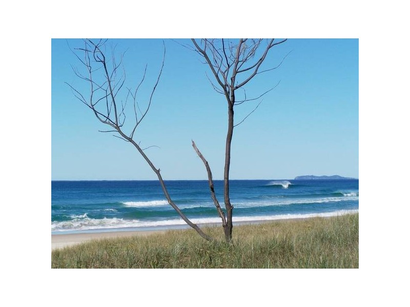 1 Crabbes Creek Rd, Crabbes Creek NSW 2483