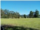 Lot 1, Crabbes Creek Rd, Crabbes Creek NSW 2483