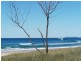 Lot 1, Crabbes Creek Rd, Crabbes Creek NSW 2483