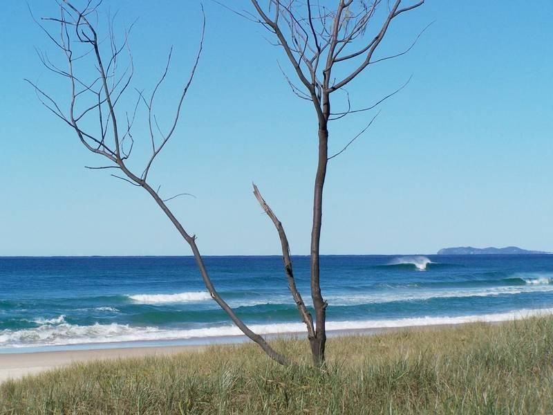 Lot 1, Crabbes Creek Rd, Crabbes Creek NSW 2483
