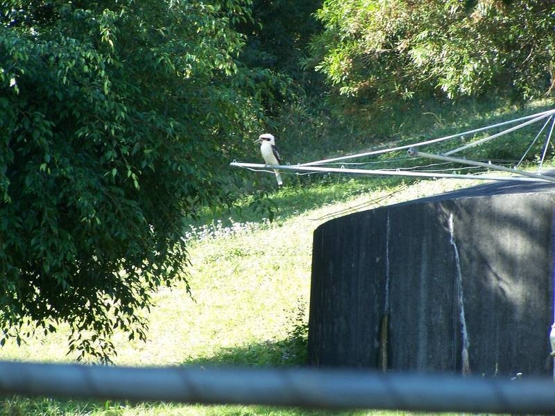 6 Yallambee Cres, Cudgera Creek NSW 2484