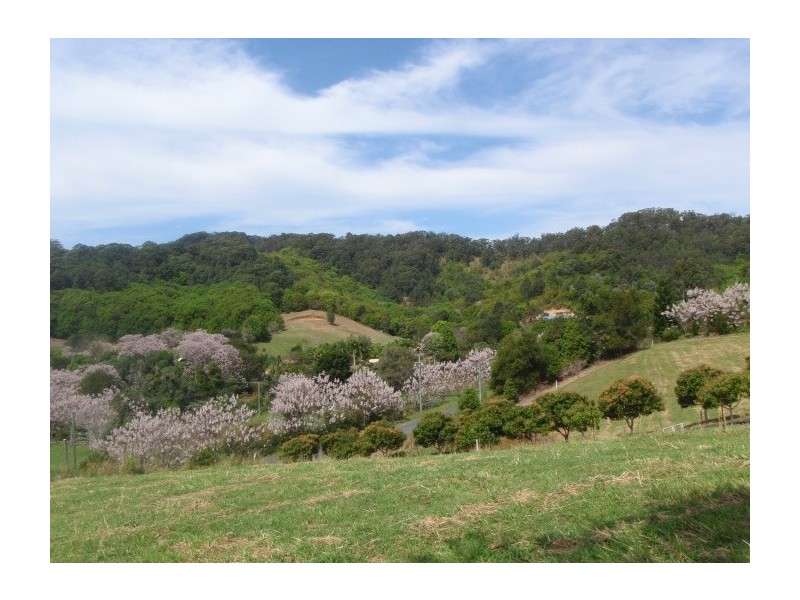 16 Hinchinbrook Road, Burringbar NSW 2483