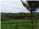 16 Hinchinbrook Road, Burringbar NSW 2483