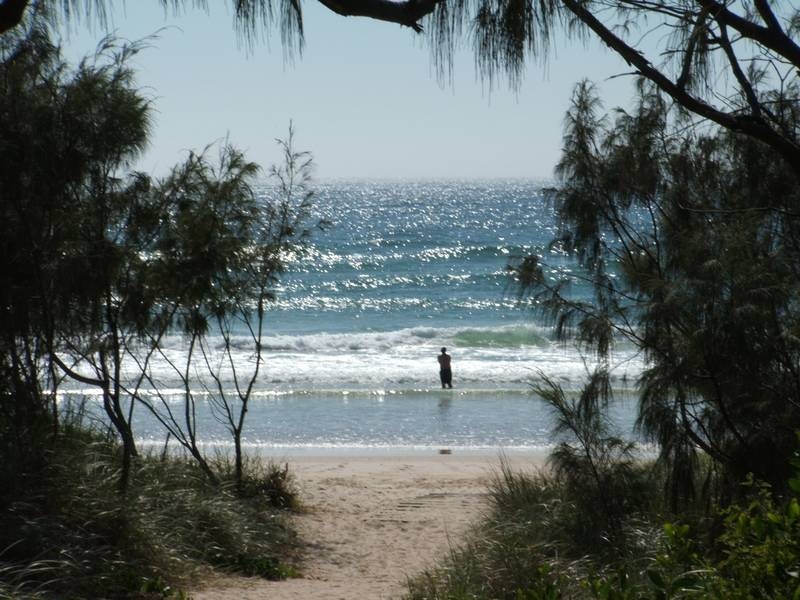 313 Hovea Drive, Pottsville NSW 2489