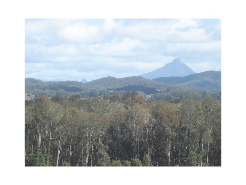 552 ECHIDNA STREET, Pottsville NSW 2489