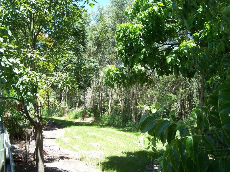 10 Warne Place, Pottsville NSW 2489