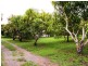 7 Lindeman Drive, Bloomsbury QLD 4799