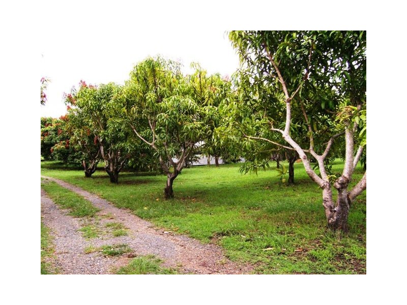 7 Lindeman Drive, Bloomsbury QLD 4799