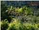1 Mandalay Road, Airlie Beach QLD 4802