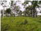 Lot 7 Midge Point Road, Midge Point QLD 4799