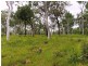 Lot 7 Midge Point Road, Midge Point QLD 4799