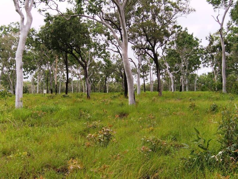 Lot 7 Midge Point Road, Midge Point QLD 4799