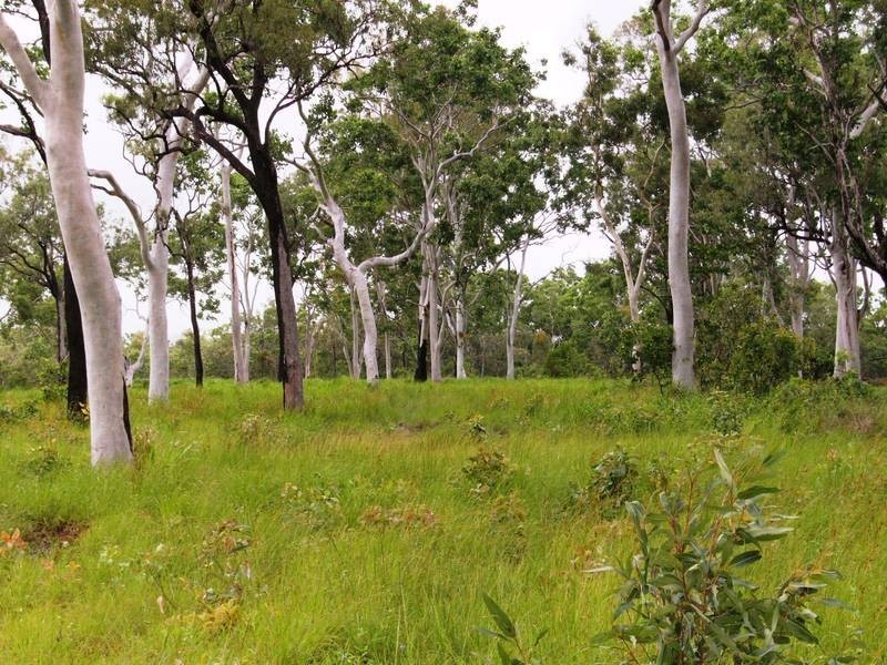 Lot 7 Midge Point Road, Midge Point QLD 4799