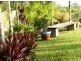 1323 Midge Point Road, Midge Point QLD 4799