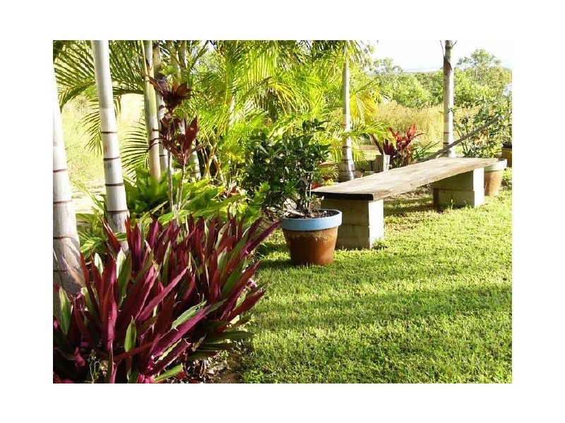 1323 Midge Point Road, Midge Point QLD 4799