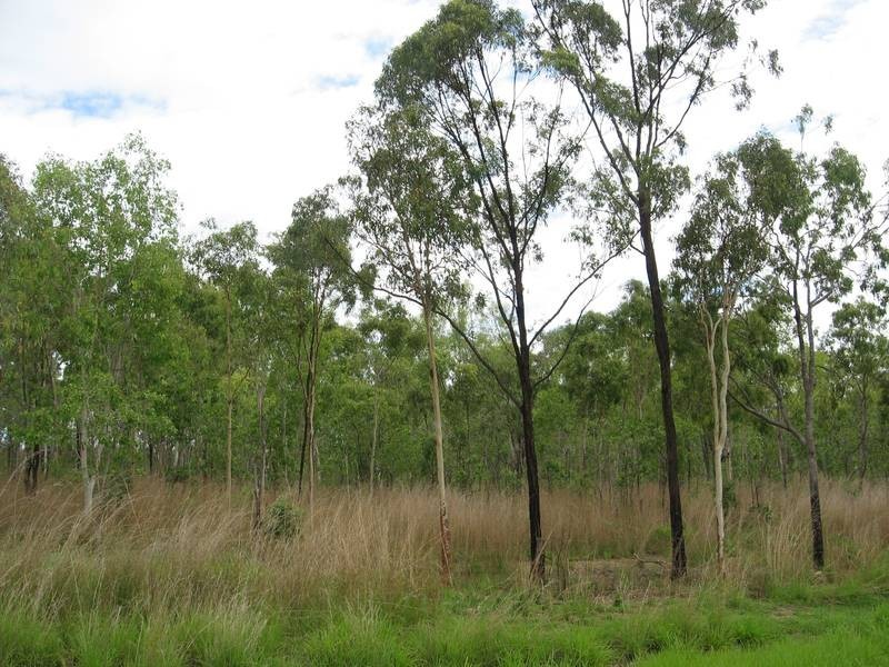 Lot 5 Bruce Highway, Bloomsbury QLD 4799