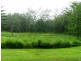 44 Saltwater Creek Rd, Conway QLD 4800