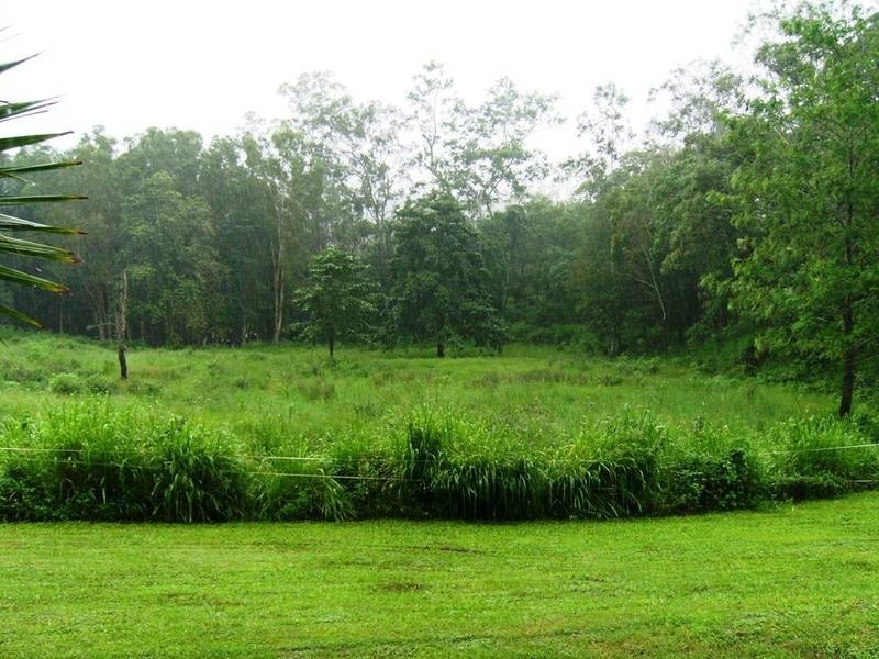 44 Saltwater Creek Rd, Conway QLD 4800