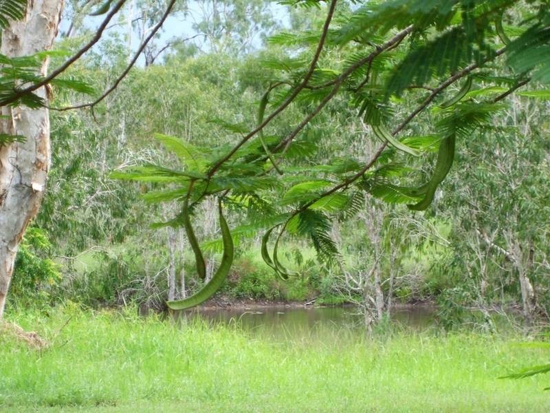 126 Hydeaway Bay Drive, Hideaway Bay QLD 4800