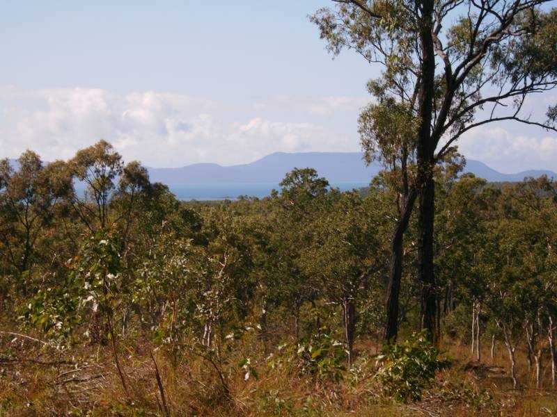 51 Midge Point Rd, Midge Point QLD 4799