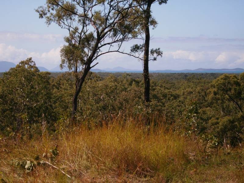 51 Midge Point Rd, Midge Point QLD 4799
