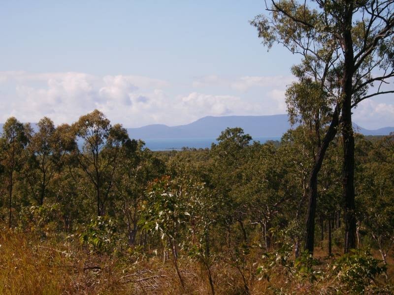 51 Midge Point Rd, Midge Point QLD 4799