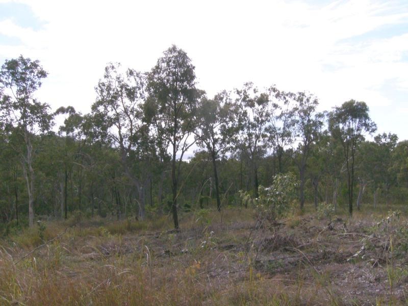 51 Midge Point Rd, Midge Point QLD 4799