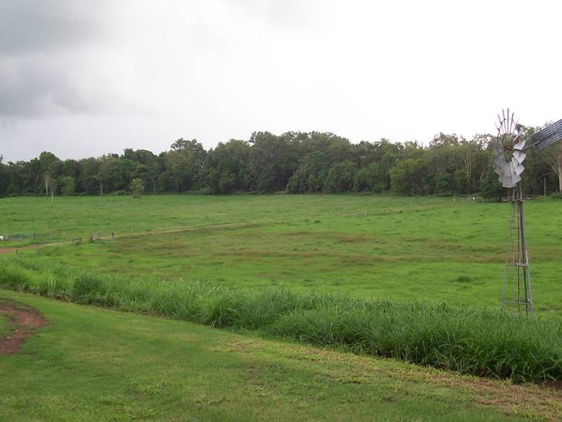 85 Ellis Road, Bloomsbury QLD 4799