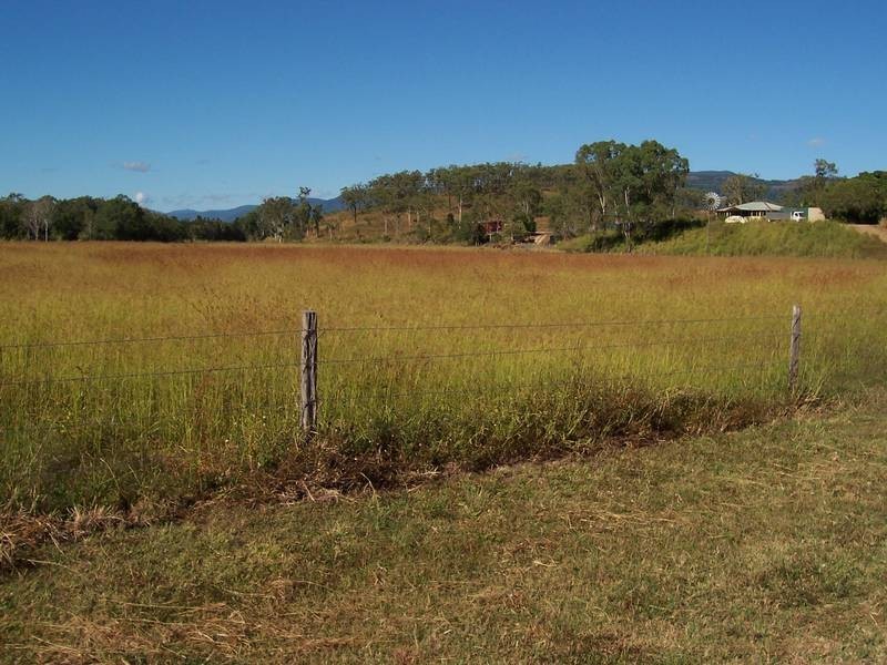 85 Ellis Road, Bloomsbury QLD 4799