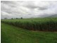 Lot 4 Bruce Highway, Proserpine QLD 4800