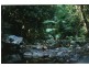 Lot 136 Cedar Creek Falls Road, Conway QLD 4800