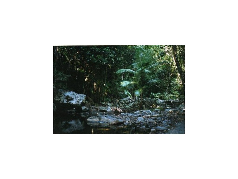 Lot 136 Cedar Creek Falls Road, Conway QLD 4800