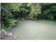 Lot 136 Cedar Creek Falls Road, Conway QLD 4800