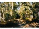 Lot 136 Cedar Creek Falls Road, Conway QLD 4800