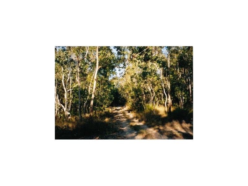 Lot 136 Cedar Creek Falls Road, Conway QLD 4800