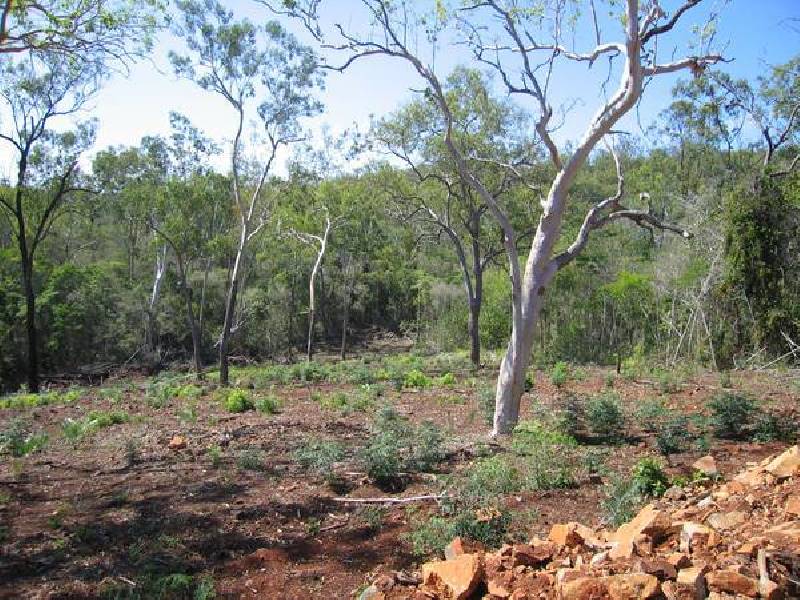 17 Midge Point Road, Proserpine QLD 4800