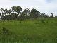 Midge Point QLD 4799