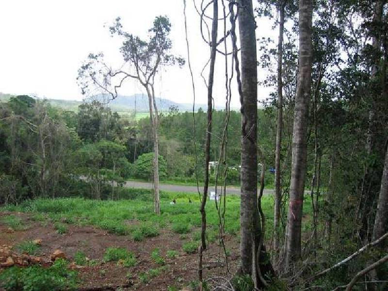 32 Laurina Drive, Strathdickie QLD 4800