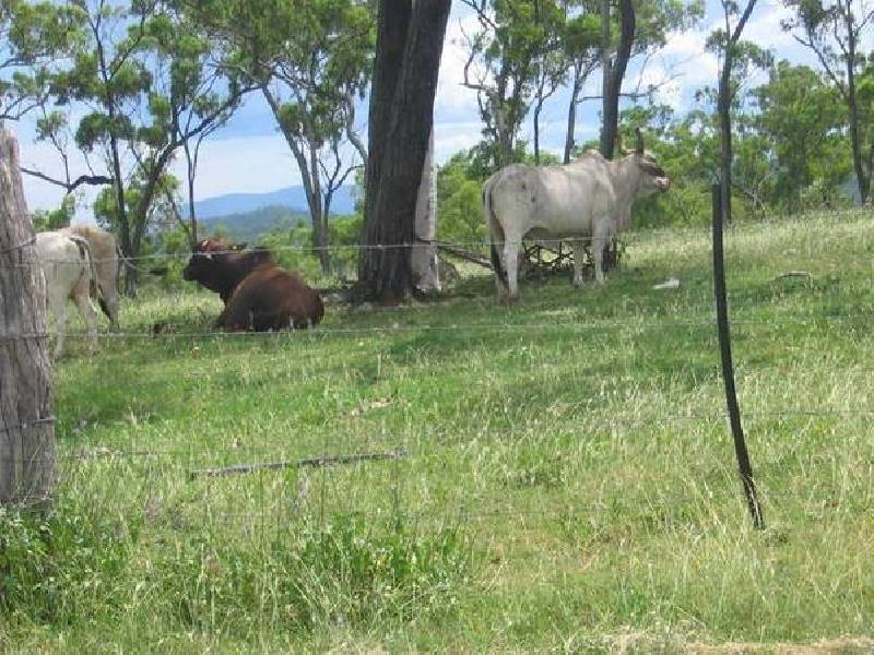 . Bruce Highway, Bowen QLD 4805